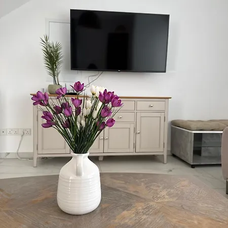 Luxury 3 Bedroom With Pool וילה פאפוס